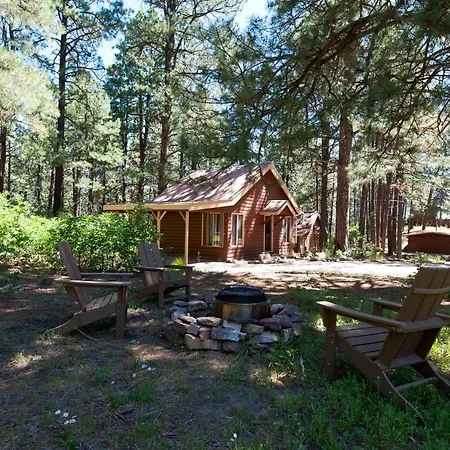 151 Cr 200 1 Bedroom Cabin